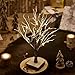 Hairui Lighted Tabletop Artificial Small Tree Snow Dusted 24 LED 18IN Battery Operated with Timer Indoor Use for Halloween Christmas Tree Decoration