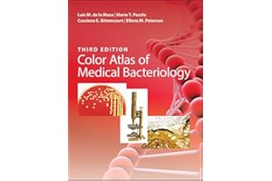 kindle best category lists