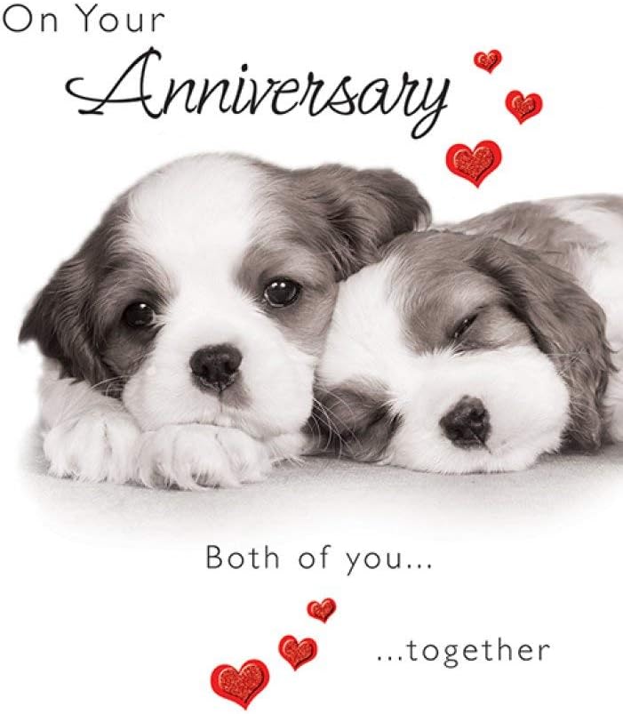 Piccadilly Greetings Cute Anniversary Card Your Anniversary - 8 x 6 inches,white brown red