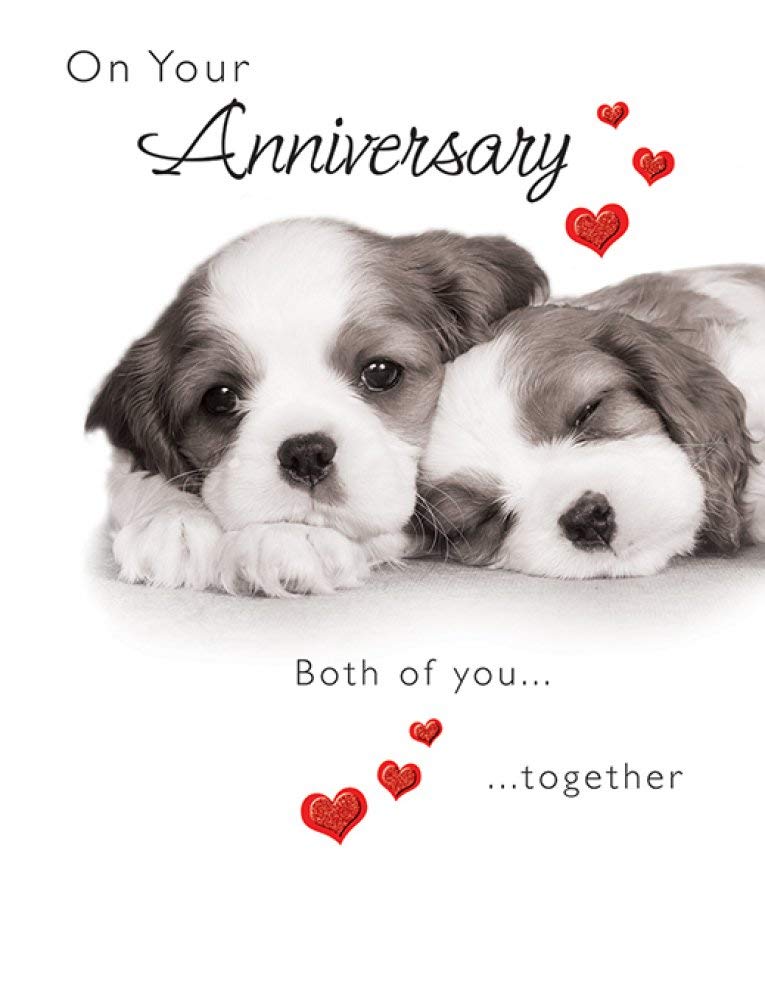 Piccadilly Greetings Cute Anniversary Card Your Anniversary - 8 x 6 inches,white brown red