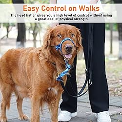 BARKLESS Head Collar for Dogs, No Pull Printed