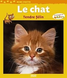 Le  chat
