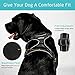 Rabbitgoo LED Dog Harness - USB Rechargeable - Illuminated No Pull Dog Vest Harness, Reflective Safety Pet Vest for Large Dogs - Adjustable, Comfort Padded, Easy Control (Black, Large)