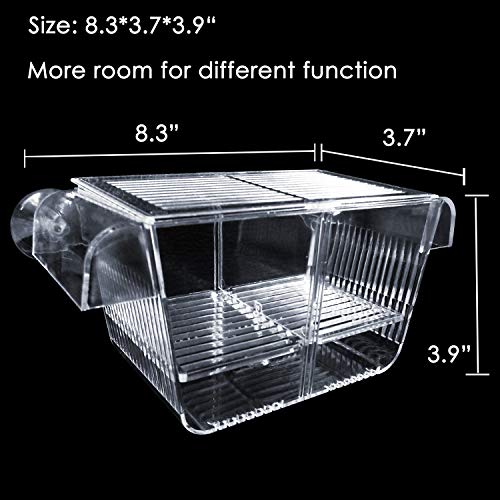 6 Capetsma+Isolation+Acclimation+Incubator+Clownfish
