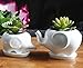 Youfui Cute Succulent Planter Animal Shaped Flower Pot Decor for Home Office Desk (Elephant L)