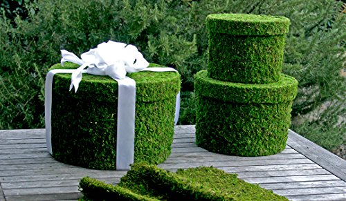 SuperMoss (55563) Hat Box - Round, Fresh Green, Set of 5 (Nested)