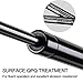 Vepagoo 4597 Trunk Struts Rear Hatch Compatible with 2005-2010 Scion TC Base/Spec Coupe 2-Door Hatch Gas Shocks Hatchback Liftgate Arms Lift Supports Tailgate, 015653, 95411, 084609