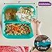 Kiddiebites | 100% Silicone Plates for Babies & Kids | MADE IN THE USA | BPA, BPS, Lead, Cadmium, PVC, & Phthalate Free | Children's Divided Placemat Set | Teal, 2 Pack
