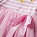 IWEMEK Baby Girl Princess Long Sleeve Shinny Stripe Crown Printed 1st/2nd/3rd Birthday Cake Smash Tulle Tutu Skirt Dress, Pink (2 Years), One Size