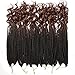 18 Inch 144 Roots/pack Crochet Braids Hair Box Crochet Braids With Curly Ends Ombre Brown Box Braid Crochet Hair Crochet Hair For Women Braiding Hair Extensions (Black&Brown(1B/30))