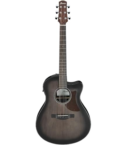 アコースティックギタ-カッタウェイ Ibanez EW20 KOENT1201
