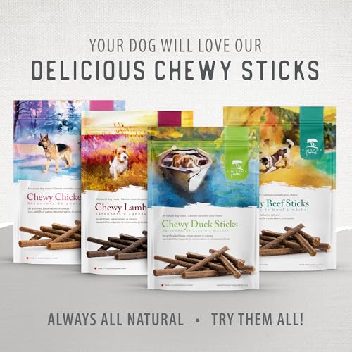 CALEDON FARMS CHEWY BEEF STICKS DOG TREATS: 220G/7.8OZ