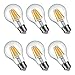 LIGHTSTORY LED Edison Bulb A19, E26 Base 2700K Non-dimmable Filament LED Bulb, 6W=60W (6 Pack)