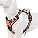 Chai's Choice Best Outdoor Adventure Dog Harness (X-Large, Orange)