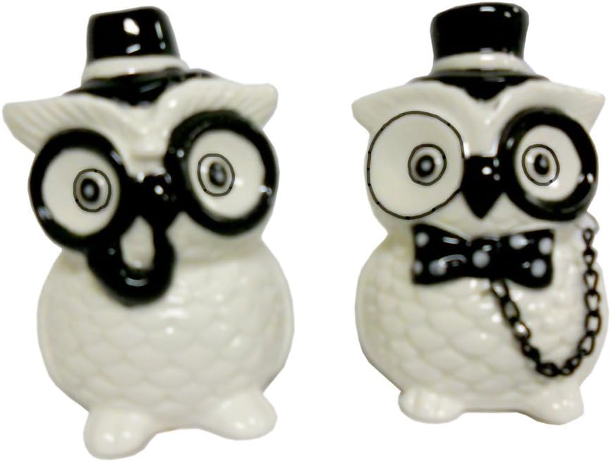 One Hundred 80 Degrees Ceramic Owl Salt & Pepper Set