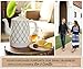 Ceramic Tea Kettle with 5 Temperature Presets - 1.6L Electric Precision Gooseneck Pour Over Teapot has Detachable Base, Dry Boil Protection, Keep Warm Function, and Beautiful Trellis Pattern