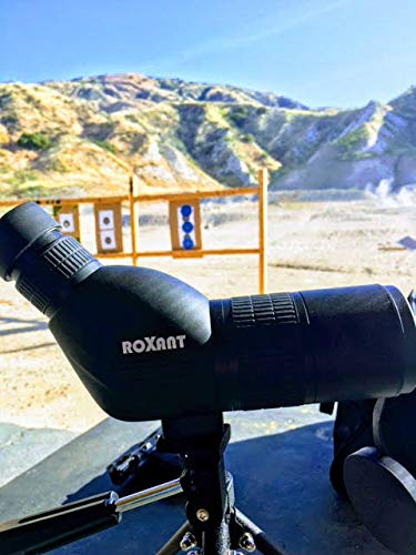 4 Roxant+Authentic+Blackbird+Definition+Spotting