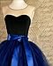 Dressyonly Women's Long Sheer Mesh Tulle Overlay Tutu Skirt