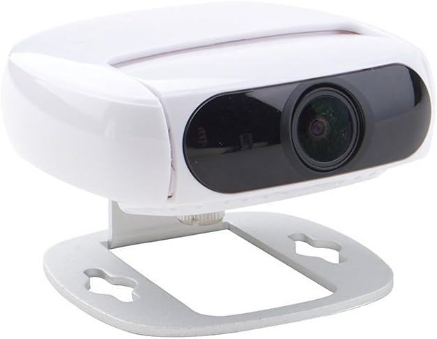 english staffy temperament