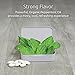 Simply Natural Organic Breath Mints, Peppermint, Powerful Fresh Breath Natural Candy, 3 SIMPLE INGREDIENTS, USDA Certified Organic, 50-Piece Tins, (Pack of 4) 200 Pieces