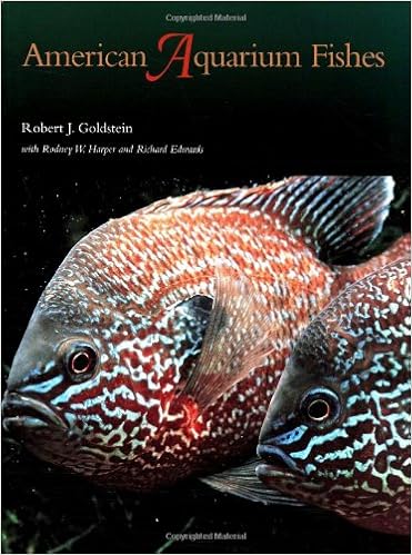 american tropical fish