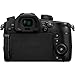 Panasonic Lumix DC-GH5 Mirrorless Micro Four Thirds Digital Camera (Body Only) with 32GB Memory Card, Case, and Pixi-Starter Bundle