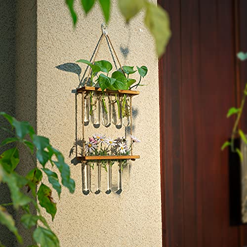 Hanging Plant Propagation Stations Tubes, Glasseam Wall Glass Planter Terrarium with Wooden