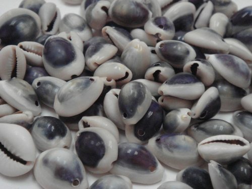100 Pcs Drilled Hole Purple Ring Top Shell Bead Cowrie Craft
