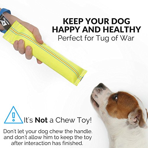 New Dog Bite Tug Toy - Extra Tough, Durable, Interactive Toys For Medium to Large Dogs by Bull Fit - Best For Tug of War, Fetch & Puppy Training! - Safe Fire Hose Dog Tug with Strong Handle, It Floats