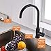 TRYWELL Black Stainless Steel Bar Faucet T304 Solid Stainless Steel High Arc Single Lever One Hole