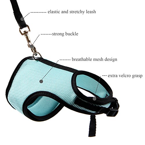 1 MEWTOGO+Adjustable+Breathable+Bunny+Harness