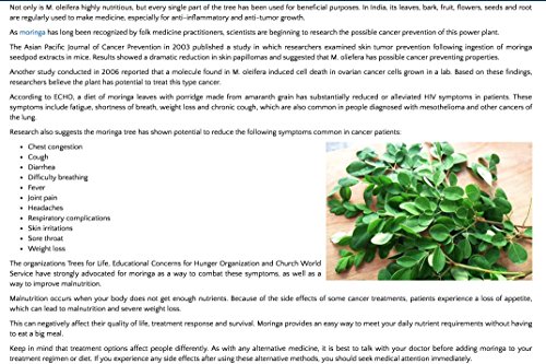 Premium Pure Certified Organic Raw Moringa Oleifera Superfood Leaf Powder - Thumbnail 6
