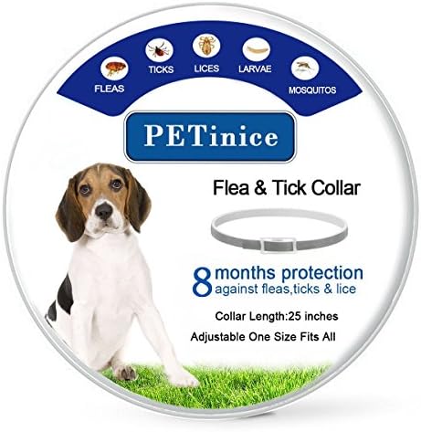 PETinice Flea and Tick Prevention for Dogs, Repellent Treatment, Collar for Dogs/Puppies