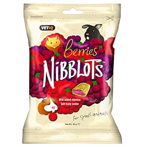 VetIQ Nibblots for Small Animals Berry, 4x 30g, Tasty Treats For Your Rabbit, Guinea Pig/s or Hamster/s, with Added…