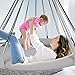 BHORMS Hanging Swing Nest, Daybed Saucer Style Lounger Swing Chair Nest with Pillow, Double Hammock for Indoor/Outdoor, 264 Pound Capacity
