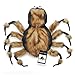 Zack & Zoey Fuzzy Tarantula Costume for Dogs, 20