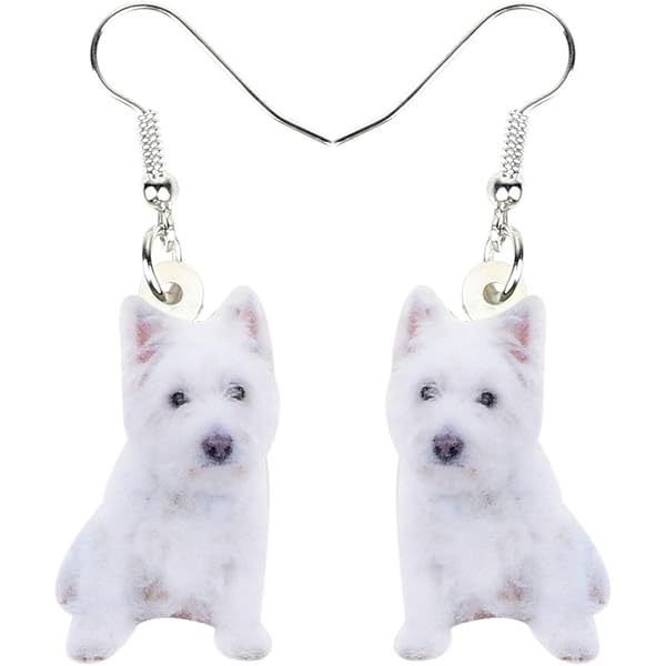 DUOWEI Cute Grey Raccoon Acrylic Dangle Earrings For Women & Girls - Hypoallergenic Gift