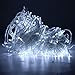 ZOIC 500 LED Christmas Wedding Party Fairy String Light Lamp 100 Meters (328 feet) 8 Modes 29V Memory Function White