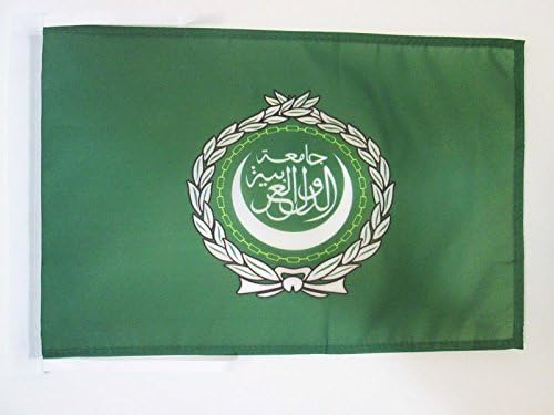 AZ FLAG, League of Arab States Flag, 18'' x 12'', 100% Polyester Arab League Small Banner with Two Cords, Fade Resistant