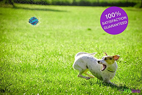 CHEW-STOP-DENTAL Puppy Dog Pet Rope Toys Stops Small Dogs and Teething Puppies from Destroying Your Stuff (Set of 4)