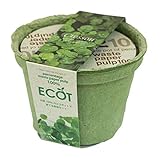 エコットS クレソン