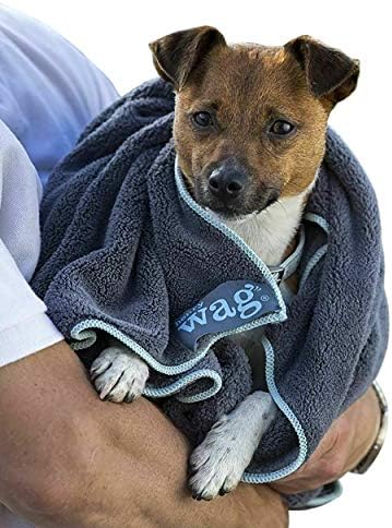 snake plant safe for cats and dogs