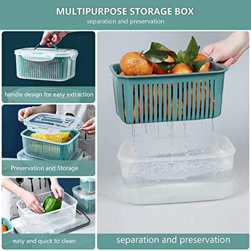 Greentainer 5PCS Stackable Produce Saver Containers with Lids and