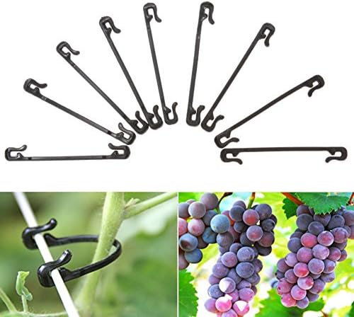 100 Pcs Garden Plant Clips Fastener Vines Tied Buckle Fixed Lashing Hook Greenhouse Vegetable Clip Gadget Tool