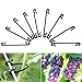 100 Pcs Garden Plant Clips Fastener Vines Tied Buckle Fixed Lashing Hook Greenhouse Vegetable Clip Gadget Tool