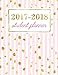 Student Planner: Weekly Academic Organizer: Sweet Rose with Shimmer Gold Flecks (Planners & Organizers for High School, College & University Students) (Volume 4)