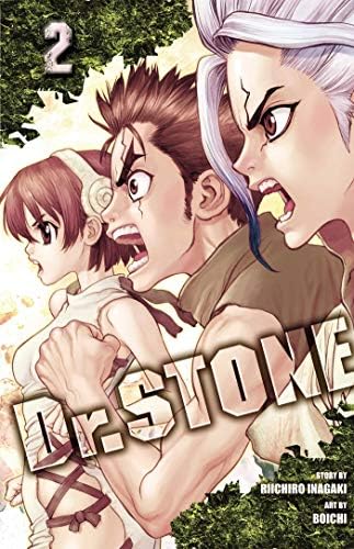 Amazon.com: Dr. STONE, Vol. 22: Our Stone World: 9781974732166
