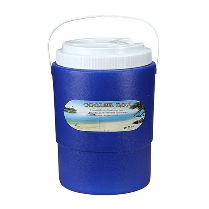 feiledi Trade - Nevera eléctrica portátil para Coche (8 L, para ...