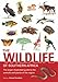The Wildlife of Southern Africa