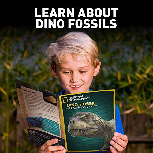 image for NATIONAL GEOGRAPHIC Dino Fossil Dig Kit - Excavate 3 real fossils incl